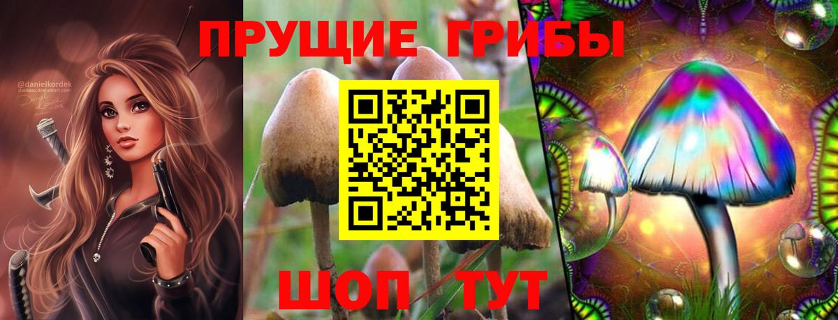 Галлюциногенные грибы GOLDEN TEACHER Новоуральск
